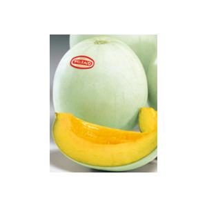 プリンスPF　100粒　メロン種子　【サカタのタネ】