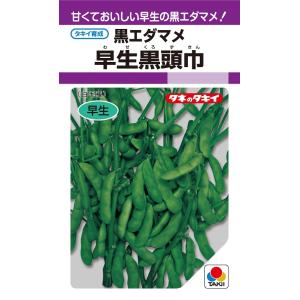野菜種　エダマメ　早生黒頭巾　PF（80ml）　【タキイのタネ】