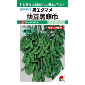 おはよう ブロッコリー種子 5000粒 【野菜種子】 【サカタのタネ