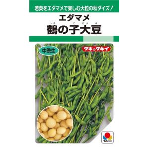 野菜種　エダマメ　鶴の子大豆　GF（60ml）【タキイのタネ】