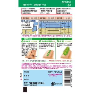 野菜種 エダマメ 鶴の子大豆 GF(60ml)...の詳細画像1