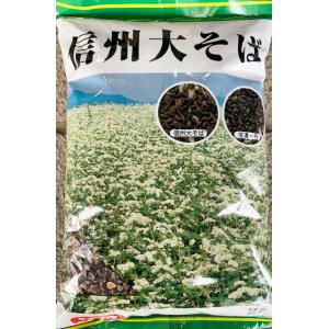 信州大そば　そば種子　2L 　（農林水産省登録品種　登録名　信州大そば）