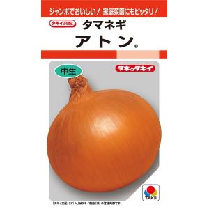 野菜種子 タマネギ 玉ねぎ種子 もみじ3号 4ml 【七宝種苗】【作り