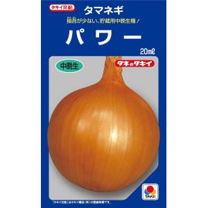 野菜種子 タマネギ ネオアース 20ml【タキイ種苗】【野菜種子】 : 吉谷