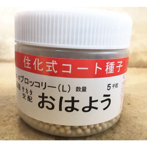 おはよう　ブロッコリー種子　5000粒　　【野菜種子】　【サカタのタネ】【ブロッコリーの種】