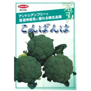 おはよう ブロッコリー種子 2000粒 【野菜種子】 【サカタのタネ