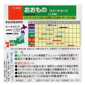 おおもの トウモロコシ種子 55粒 【とうもろ...の詳細画像1
