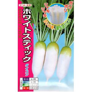 おはよう ブロッコリー種子 2000粒 【野菜種子】 【サカタのタネ