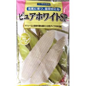 ピュアホワイトSP　トウモロコシ種子　2000粒　【雪印種苗】【白とうもろこし種】【野菜の種】