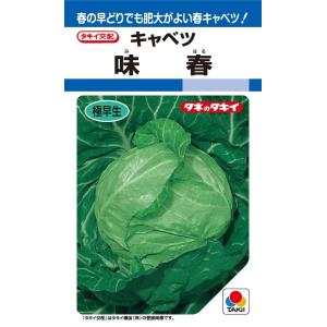 おはよう ブロッコリー種子 5000粒 【野菜種子】 【サカタのタネ