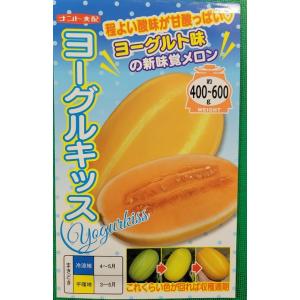SK9-099 ブロッコリー種子 2000粒 【野菜種子】【サカタのタネ