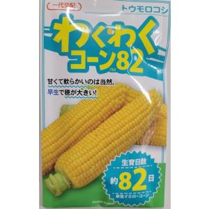 わくわくコーン82　トウモロコシ種子　100粒　【とうもろこし種】【野菜の種】【カネコ種苗】