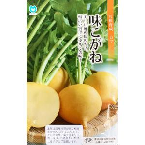SK9-099 ブロッコリー種子 ペレット5000粒 【野菜種子】【サカタのタネ
