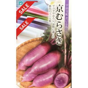 【匿名発送】希少種！大人気！ブロッコリー種子 （SK9-099 )5000粒 SK9-099 ブロッコリー種子 ペレット5000粒 【野菜種子】【サカタのタネ