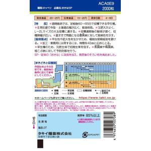 キャベツ・おきなSP L5000粒 早生種 【...の詳細画像1