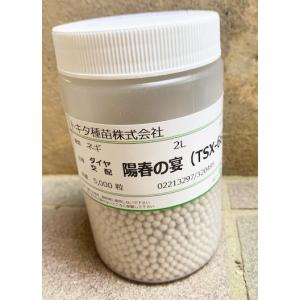 ネギ種子】ダイヤ交配（トキタ種苗）「大地の響き（だいちのひびき