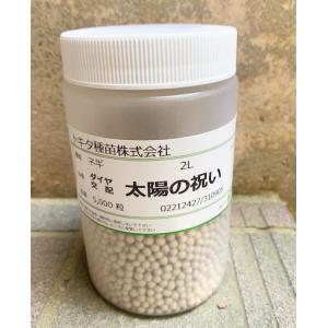 SK9-099 ブロッコリー種子 ペレット5000粒 【野菜種子】【サカタのタネ