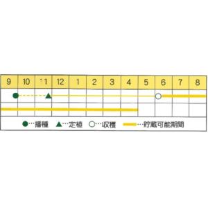 【新種 9月上旬ごろ発送】野菜種子 タマネギ ...の詳細画像1