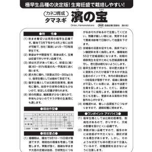 濱の宝 玉ねぎ種子 20ml 極早生種 カネコ...の詳細画像1