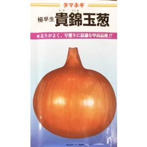 野菜種子 タマネギ 玉ねぎ種子 もみじ3号 20ml 【七宝種苗】【作り