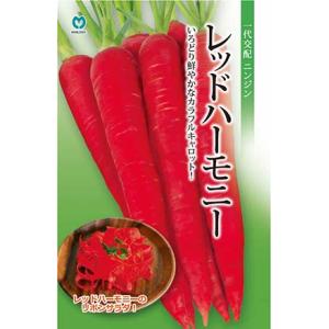 レッドハーモニー 人参種子 生種200粒【カラフ...の商品画像