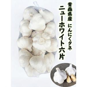 やさいモンスター 平戸ニンニク種球 5㎏ 暖地栽培向き 暖地向きの