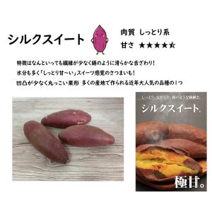 【2026年 予約商品】シルクスイート 10本...の詳細画像1