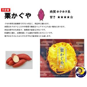 【2026年 予約商品】 栗かぐや 10本 サ...の詳細画像1