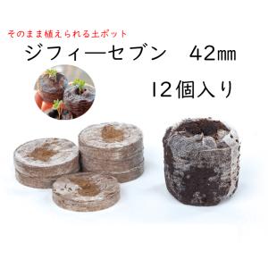 土にかえる 天然素材ポット ジフィーポット 丸型 5.5cm 40入り【サカタ