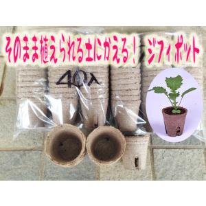 そのまま植えられる土ポット ジフィーセブン 直径42mm 12個入【種まき