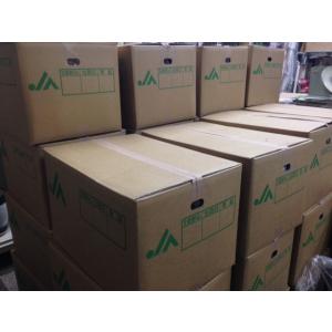 種子用 長崎県産 土付き大生姜 1kg【種生姜...の詳細画像2