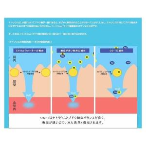 大塚製薬 OS-1 オーエスワン アップル風味...の詳細画像2