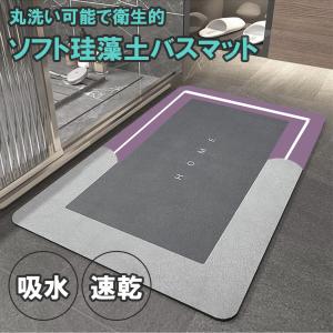 さらっと快適 足さら珪藻土バスマット Lサイズ 60cm×40cm 天然素材