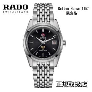 DiaStar Original ラドー RADO ダイヤスター デイデイト 11P