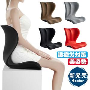 座椅子 ゆがみ 腰痛 チェア スタイル イス 猫背 骨盤 クッション 腰ボディメイクシート オフィス スタイル 座いす 骨盤矯正 コンパクト 腰痛 姿勢 美姿勢 猫背