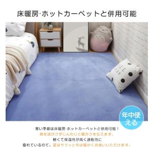 ラグマット ラグ カーペット 低反発 洗える ...の詳細画像3