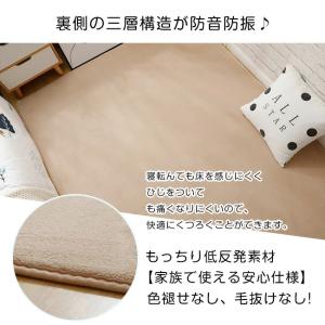 ラグマット ラグ カーペット 低反発 洗える ...の詳細画像4