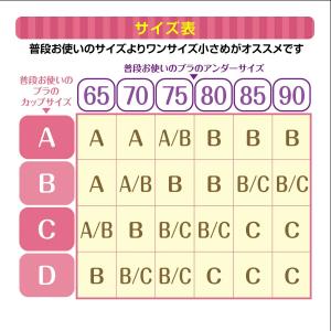 即納 ヌードブラ 2倍盛り ブラジャー シリコ...の詳細画像4