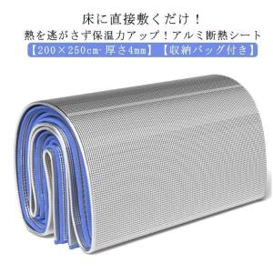 アウトドア 防湿マット 厚手 防水 ピクニック...の詳細画像1