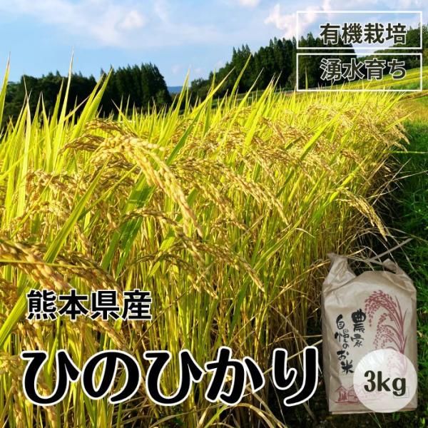 令和5年新米 ひのひかり 3kg 有機栽培