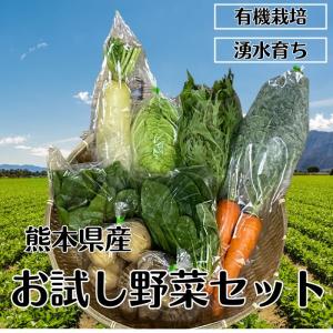 お試し有機野菜4〜6品セット  有機栽培 無農薬