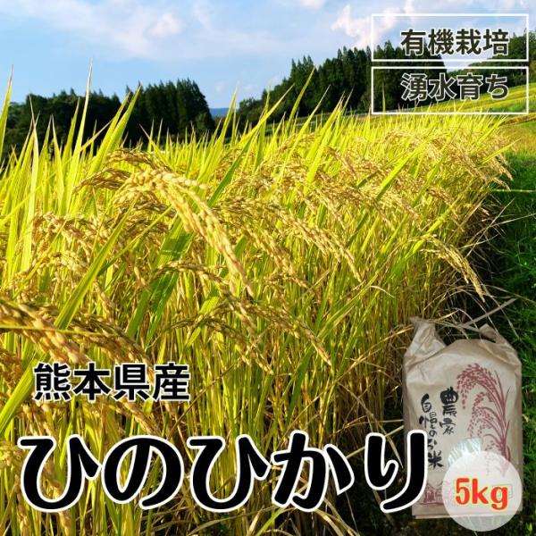 令和5年新米 ひのひかり 5kg 有機栽培米  送料無料 有機栽培 農家直送