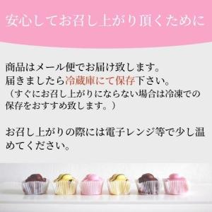 干し芋 紅はるか 国産 プレミアム 1kgの詳細画像3
