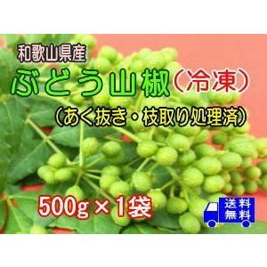 ブドウ山椒（冷凍）あく抜き・枝取り処理済み 500g×1袋