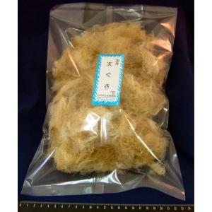 南房総産　天草　ところてん　20キロ 南房総産 天草 ところてん 20キロ 南房総産天草ところてん20キロ