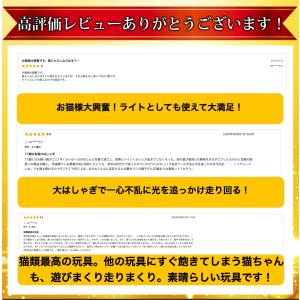 LEDポインター 猫 おもちゃ レーザーポイン...の詳細画像3