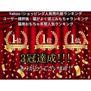 LEDポインター 猫 おもちゃ レーザーポイン...の詳細画像2