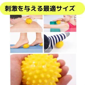 筋膜リリース ストレッチボール マッサージボー...の詳細画像5