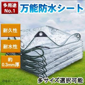 防水シート 防雨 透明シート シート 家庭用 園芸用 ベランダ 雨よけシート 植物保護 アウトドア 防風 隔離 防塵 PVC 屋外用 屋根 耐引裂性 雨除けカーテン 庭 園
