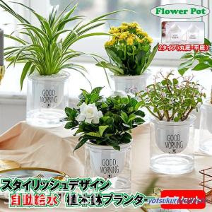 爆買 3個セット 自動給水 プランター おしゃれ 家庭菜園 水やり : 四倉
